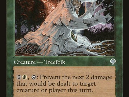 Treefolk Healer [Invasion] Supply