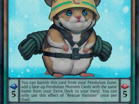 Rescue Hamster [PEVO-EN028] Super Rare Fashion