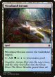 Woodland Stream [Ixalan] Online