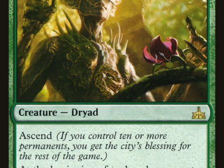 Tendershoot Dryad [Rivals of Ixalan] Discount