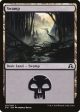 Swamp (291) [Shadows over Innistrad] Hot on Sale