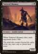 Tattered Mummy [Amonkhet] Hot on Sale